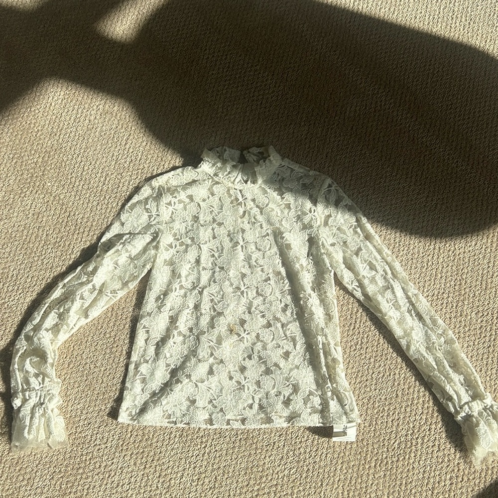 Alexis sheer top